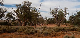 outback-nsw-13